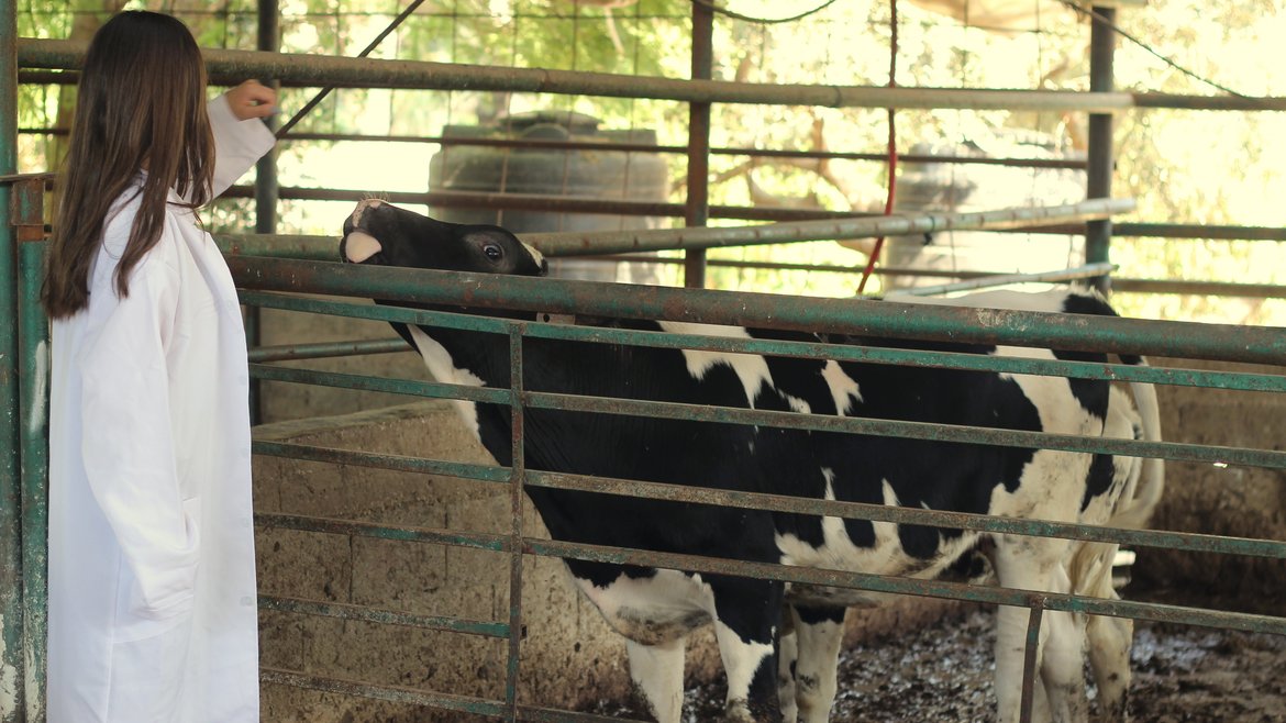 Animal Production & Animal Health | Faculty of Agriculture and Veterinary  Medicine